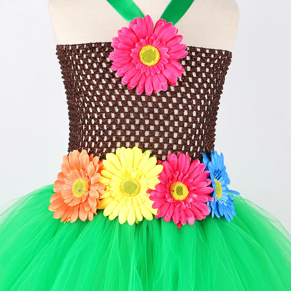 Hula Costume - Image 5